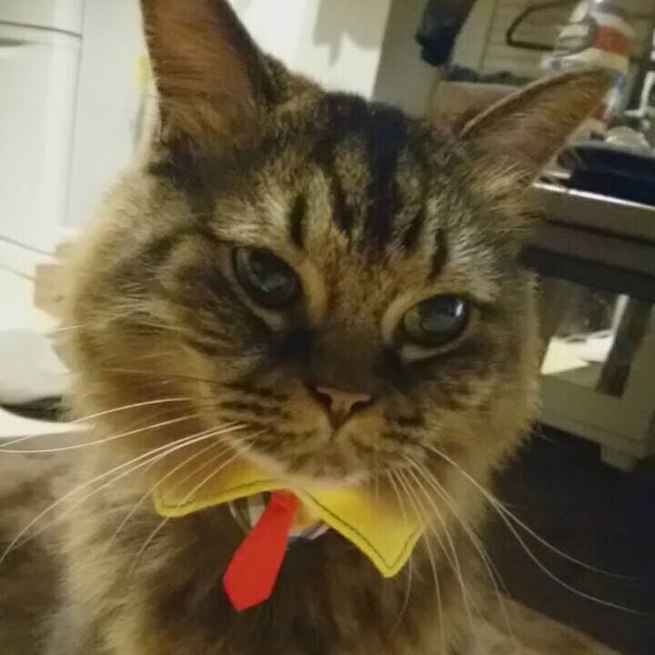 F9cb659b 2857 49d8 b4b7 a305ecabd183 1542669174412