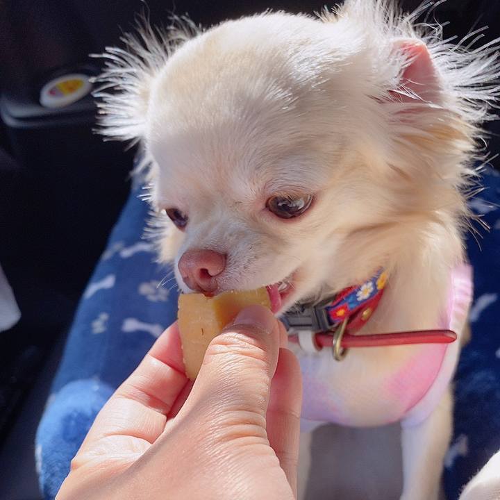 F9cb79f3 9e38 47a9 ba5e b9fd08fa2134 1633237749317