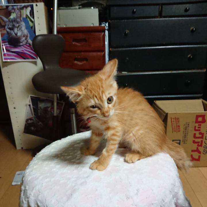 F9cb9272 d2c7 4b08 b51a 078cc9a93924 1628370116796