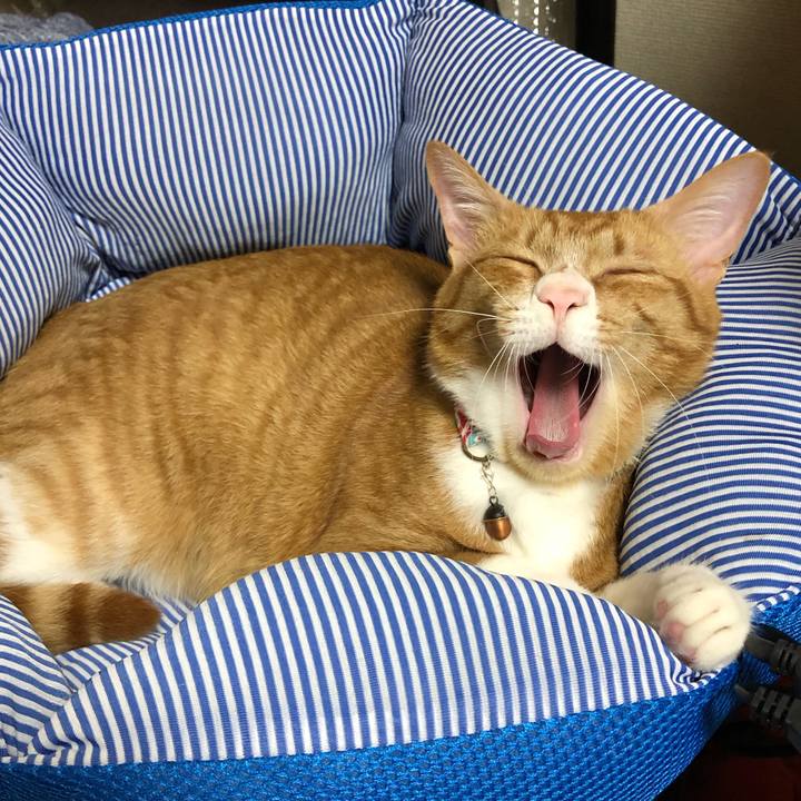 F9cb9857 bdbd 4693 81b9 c771af5bcd29 1563264203051