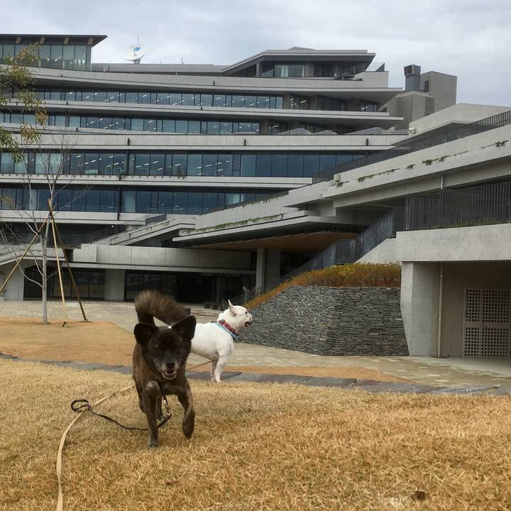 F9cb98df 6c6d 460f bb3f 73d27ef78453 1546003037446