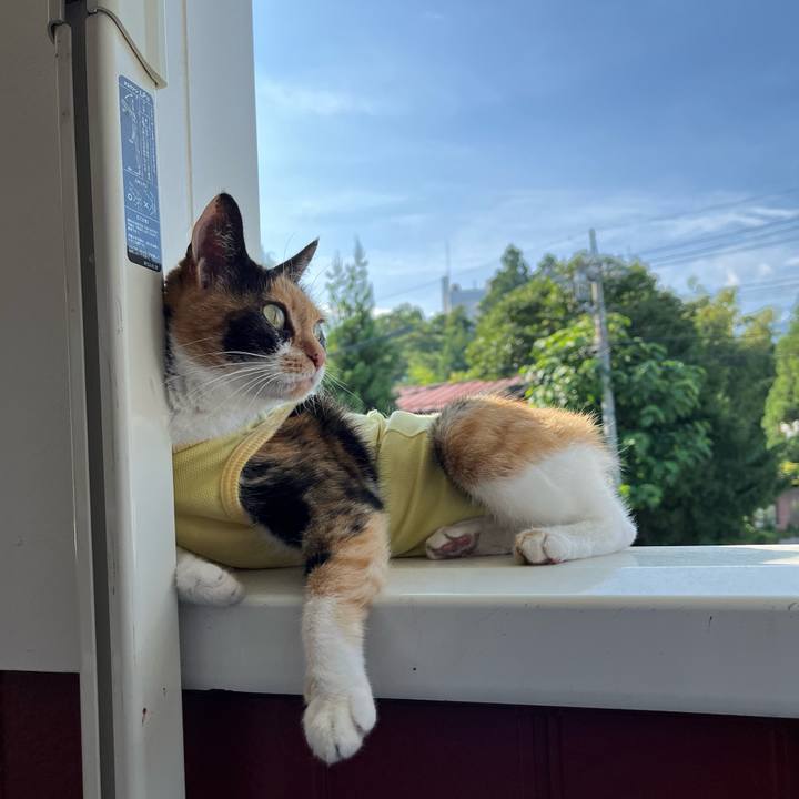 F9cb9a99 2291 42a4 802f e18207439c04 1658823468101