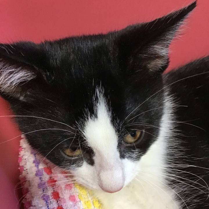 F9cc0faa b123 4990 a429 0efc0c86e81c 1626590950904