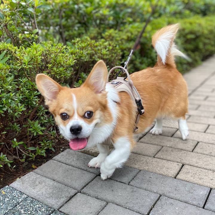 F9cc3513 e6a6 4583 8178 6bee3b325be5 1595553547827