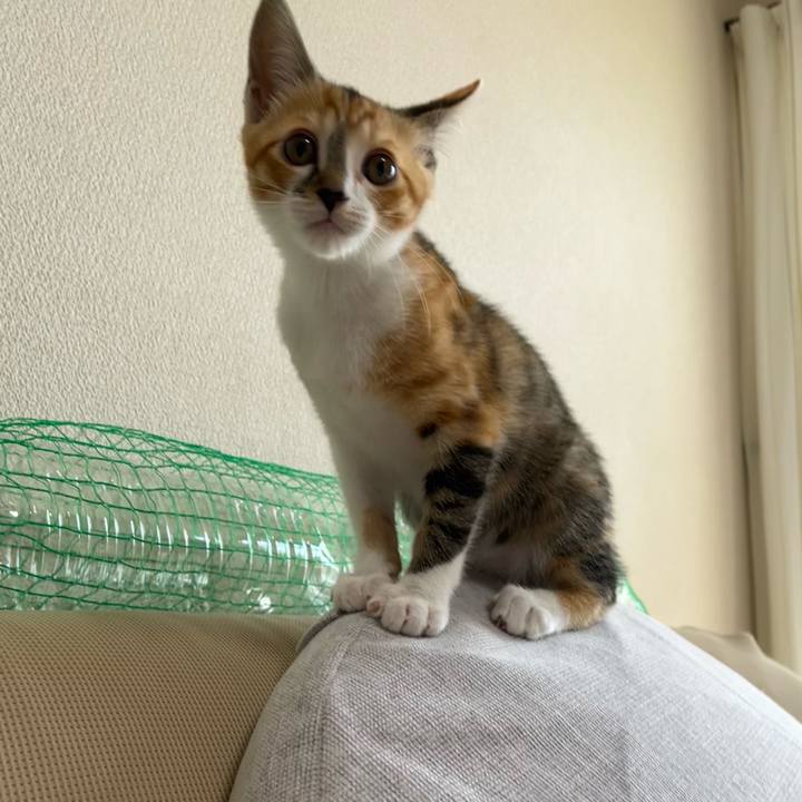 F9cc3b35 91af 432b b342 5ee8140fcbc6 1654402983291