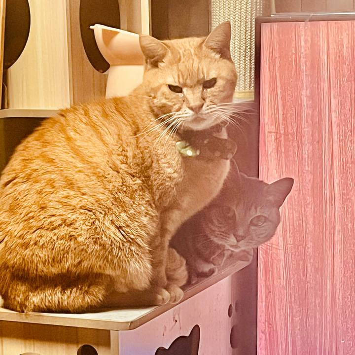 F9cc494f c163 4c82 8ccc 550dd99a7a07 1767861146426