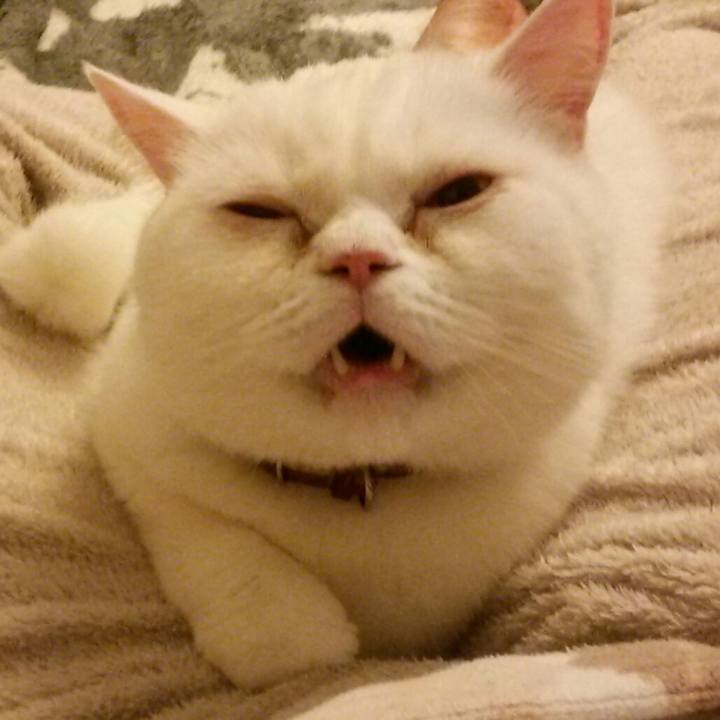 F9cc4c7d 6a92 4e73 9a96 34bfb83b5df4 1528027687511