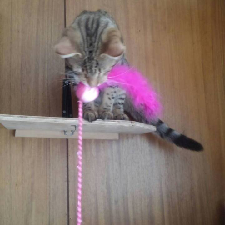 F9cc781d 60b5 49ef 829c f6bae675ecac 1570201569521