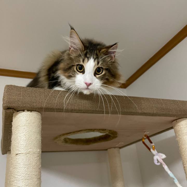 F9cc9efd 01a8 4a51 8b25 b71d9a8e6428 1637963732490