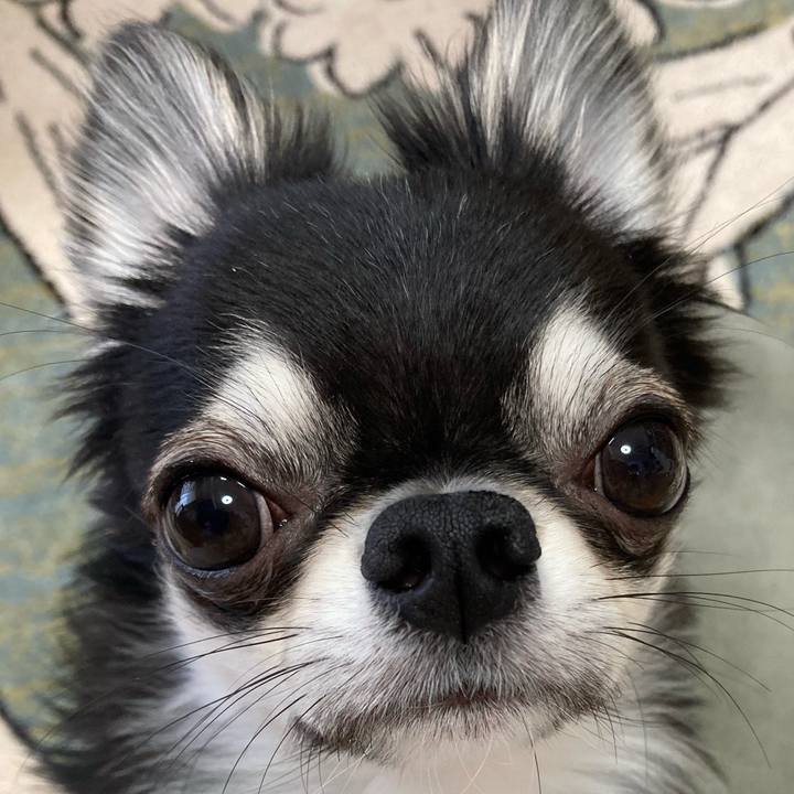 F9ccf7c8 7bfd 4f9c b399 7b8ead37146c 1621726412319