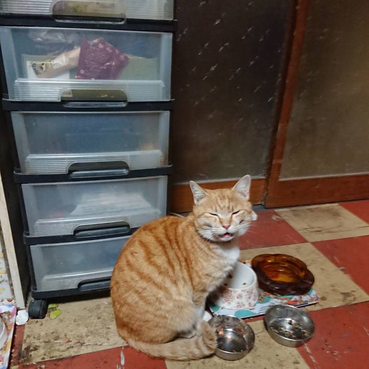 F9ccfb07 7762 4ce2 aa2c 6f9dbb3ae0d5 1585300788167