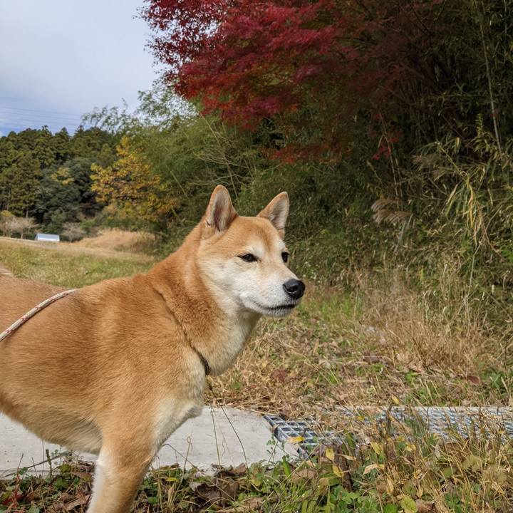 F9cd04f0 3a12 425d aad3 7de33fad1cbf 1607486648998