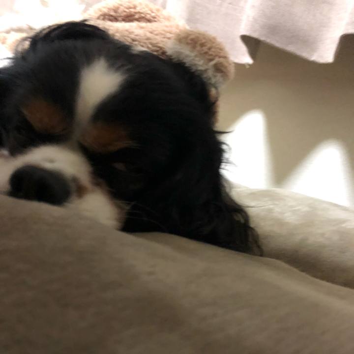 F9cd194a d6d4 4248 8f8b 4686d4d06e8c 1546264395813