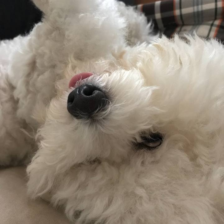 F9cd2ae2 b13e 41b0 9da7 2cddfe9ebb86 1528100679725