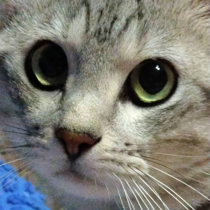 F9cd32ef a9f5 4fab a695 57c1e8a8f6df 1654185690419