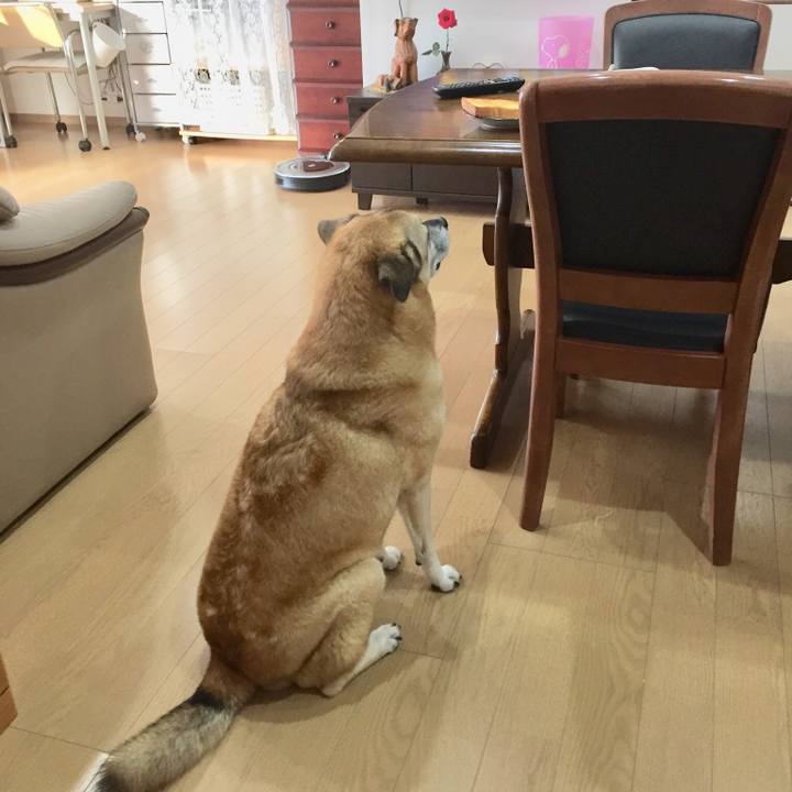 F9cd6371 ca54 4ca2 b615 d0ce0992a9fd 1539827200071