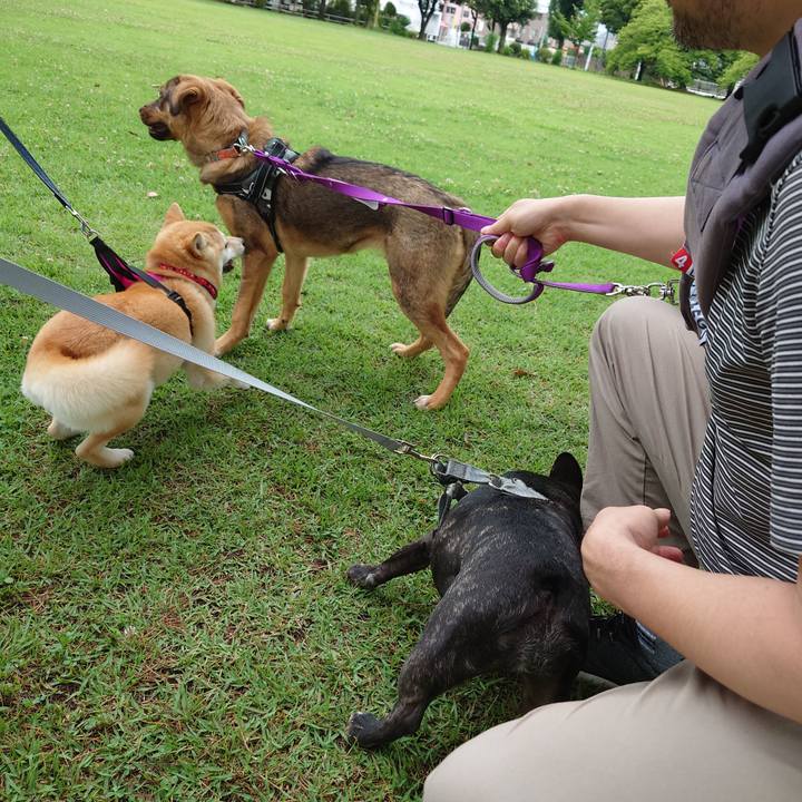 F9cd69e8 657e 4a0d af45 a0da0a22a9d4 1687477218378