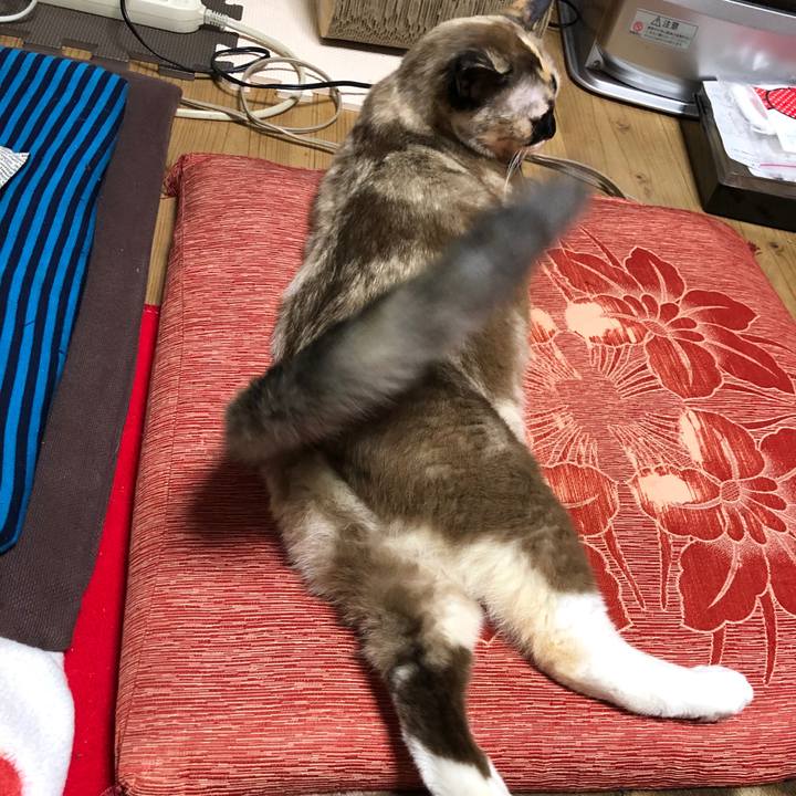 F9cd849b e8b9 4e40 bb3c d213c781e935 1775408754840