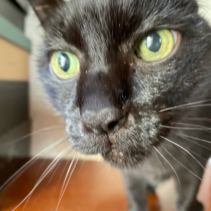 F9cd92d9 3743 46be b524 00f2b7c5b6ea 1610760459204