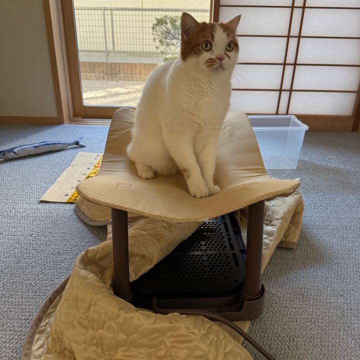 F9ce1262 bfa5 4cb8 9166 a8e5ec702ab2 1768360568161