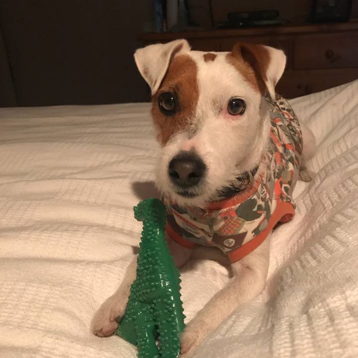 F9ce284d d021 4746 98ab f6efa3004498 1517059879711