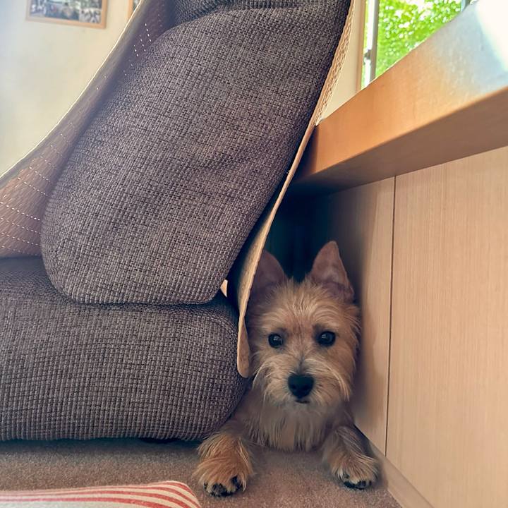 F9ce286c cfaf 4cec b911 581aa95c691c 1728882584106