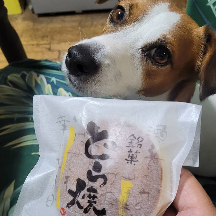 F9ce9278 bb36 46bf 997f d863418149f2 1664421171054