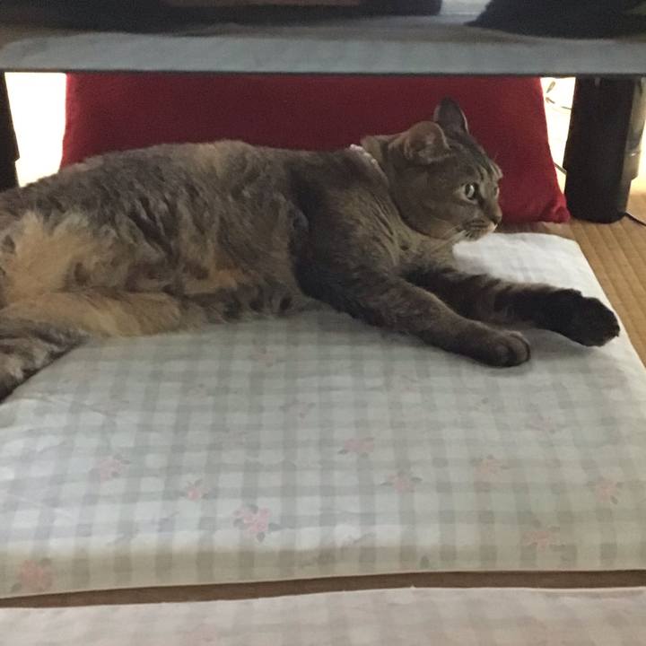 F9ce9850 c24e 4775 9d39 0433c970a00f 1689407801178