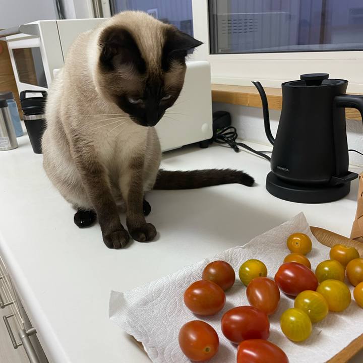 F9cee7db 8fe1 4b79 9c2c 3427a89aa805 1722196371409