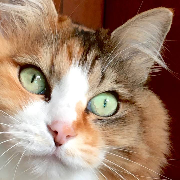 F9cee9a8 fd63 4f38 a2b3 33876fa033cc 1581923692027