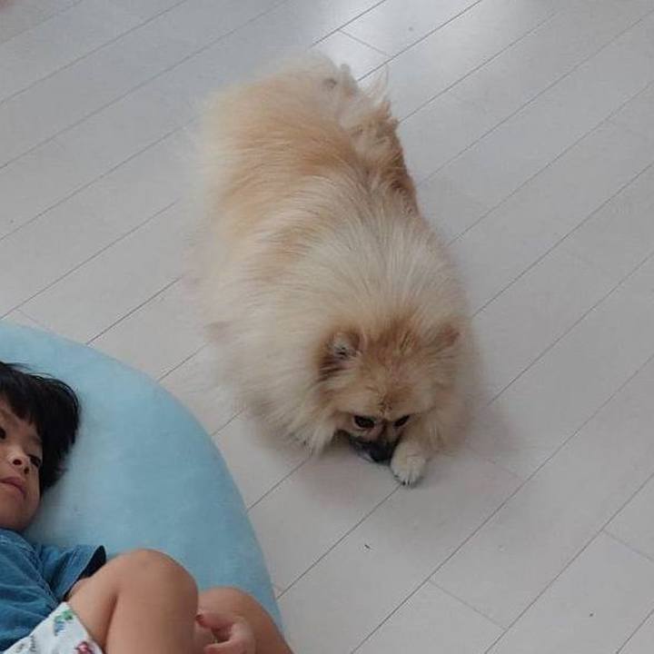 F9cf12d1 36ea 44c6 b9e9 82e93152805f 1694739660289