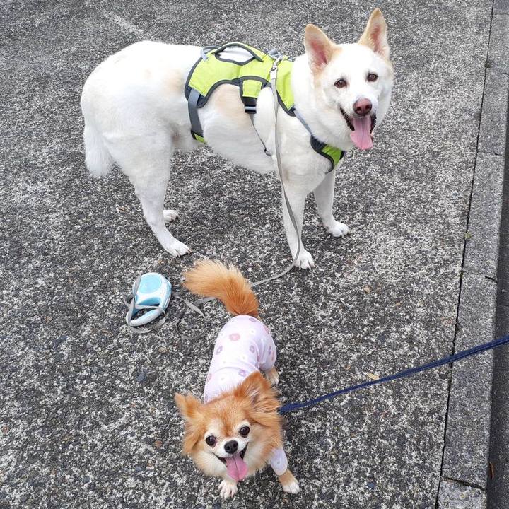 F9cf3d5d cc03 447c 9f06 4c025d31cc56 1758430657325