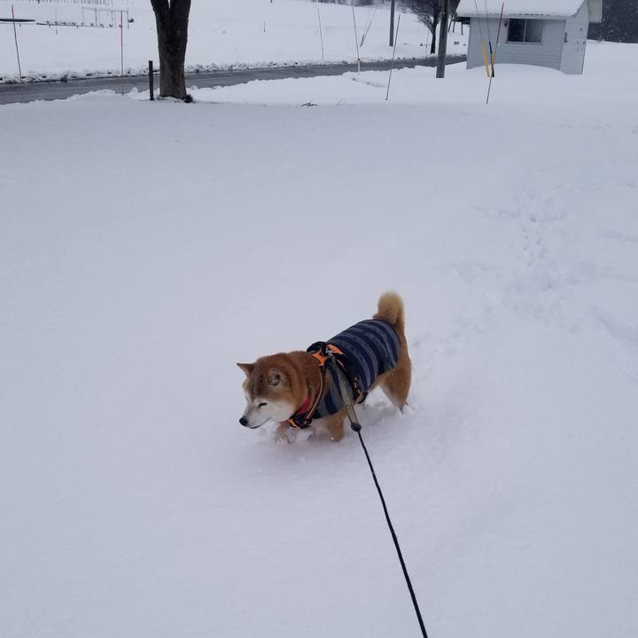 F9cf4769 1c6a 47cb a620 aafda13d192b 1709521725336