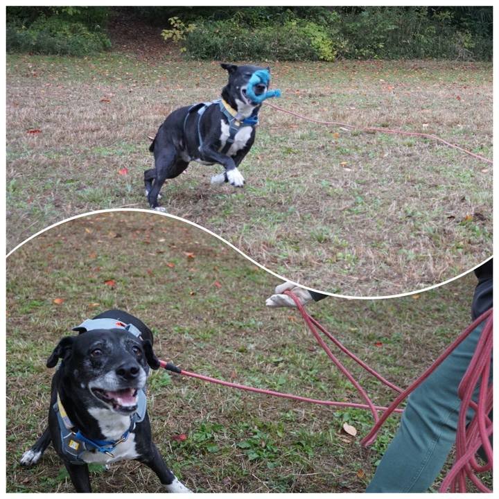 F9cf9a74 5159 4074 ae22 4a26b137ebb7 1762995850790