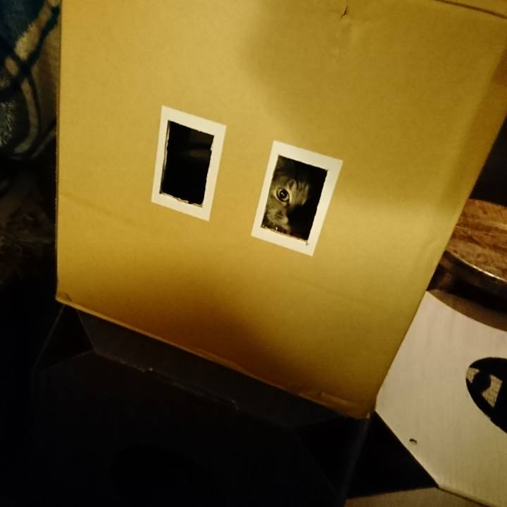 F9cfac2a 0e3e 41f1 981d 6fbbee128dd5 1581599904347