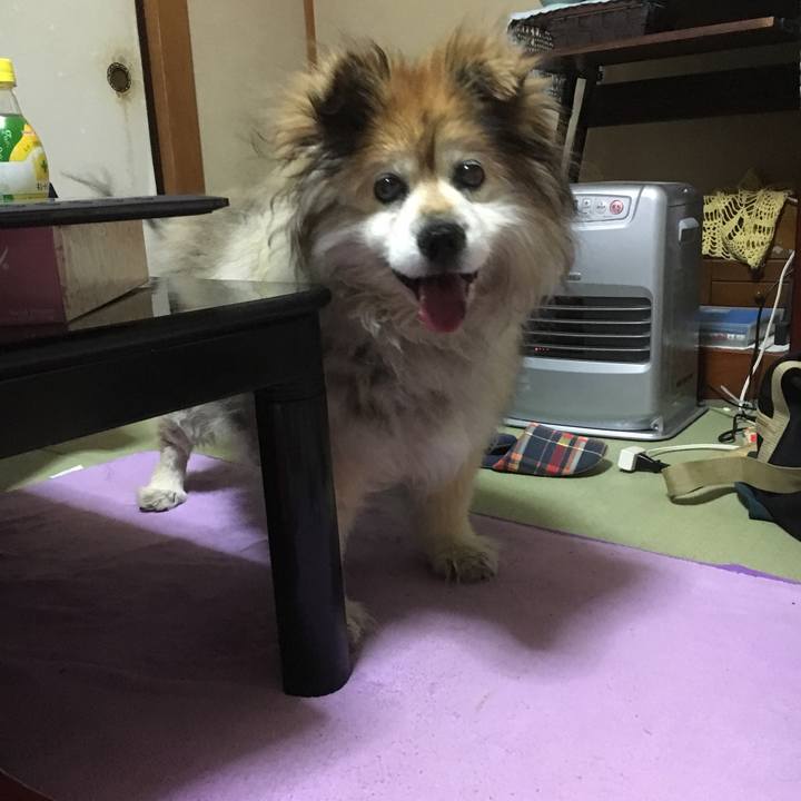 F9cfb22a 26fa 404a 8de1 4c2efc5753f7 1557356682148