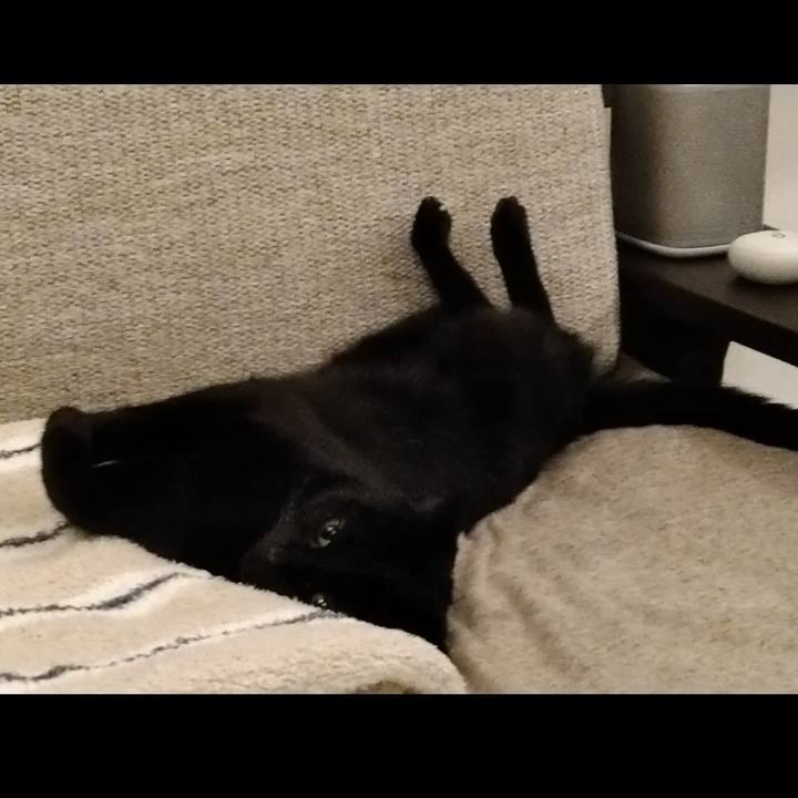 F9cfe56e e8ef 40cb 8ccc 53c026f6e54c 1766143042932