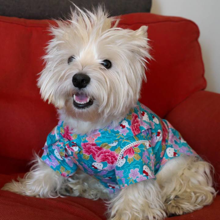 F9d00b77 ed64 49f2 8764 55f728bc12ef 1533461044582