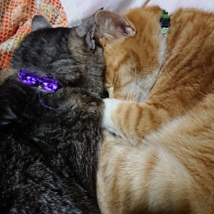 F9d04d8a cf4b 4fef bc2c 6c8e0253ad48 1581341654992