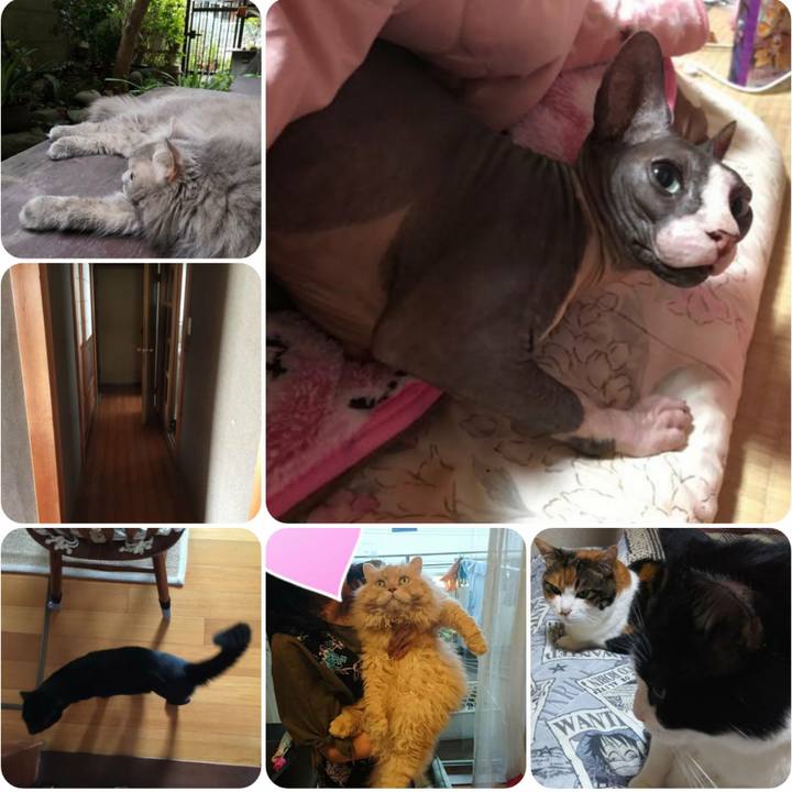 F9d066b1 72c4 440c aa33 4495fbc6f6c2 1566387531307