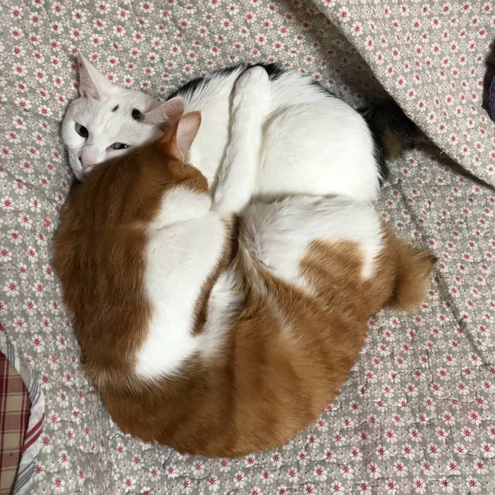 F9d07895 5e5c 4b81 ba13 4e55f2765108 1527336614359