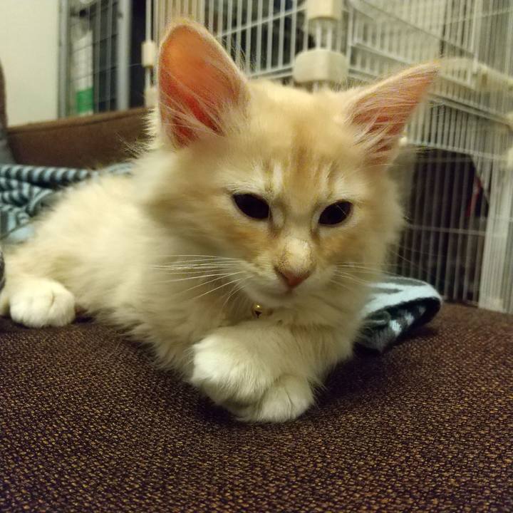 F9d0974a af8c 40e0 bdad cff2d86b5404 1603798600749