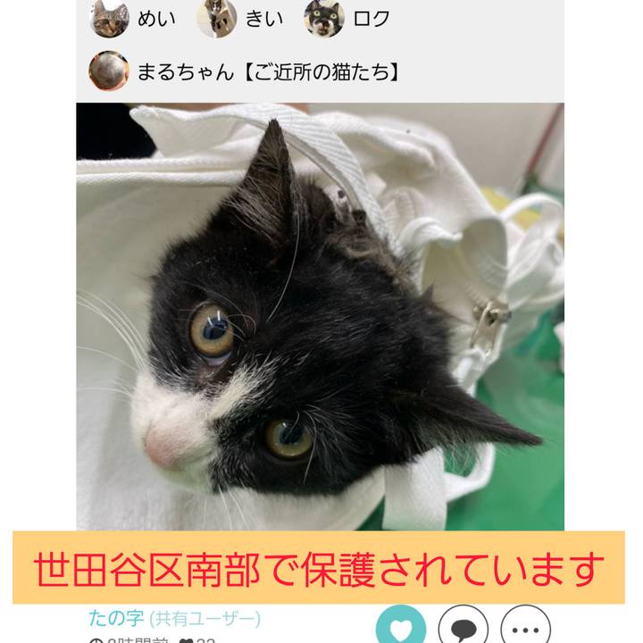 F9d09cc0 0713 49fa 8883 009014fdb764 1702562966749