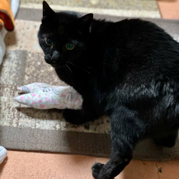 F9d0d177 e909 4c37 ad6d 26c2255887d2 1616723083255