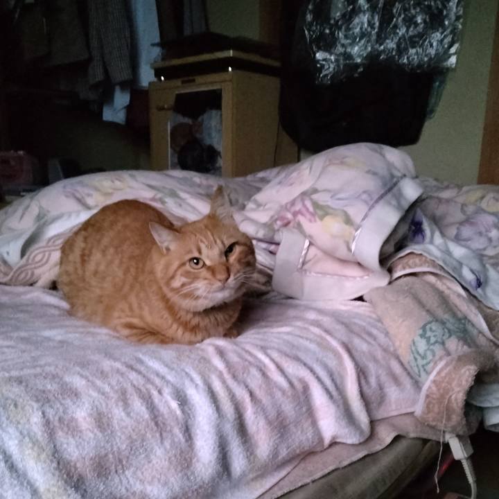 F9d0db40 7783 4425 a02c 3153caf03732 1668204765524