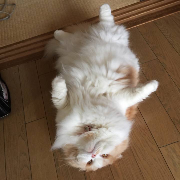 F9d0edf9 9689 4445 890a 009b5e04fe46 1547287379028