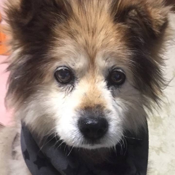 F9d10faf 8d67 47f5 9217 cfb6515b1386 1588548879584