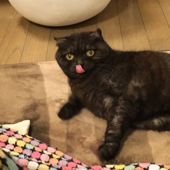 F9d1275e e0e8 4174 a38f 3ba056c2b986 1585755360217