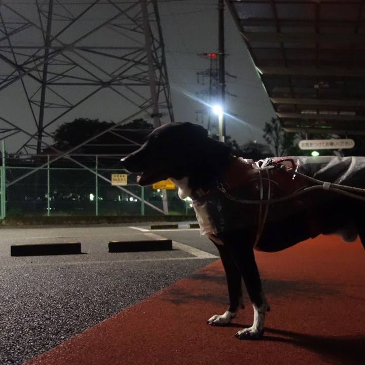 F9d168b3 1e9f 4cf5 8632 206876268200 1664967042566