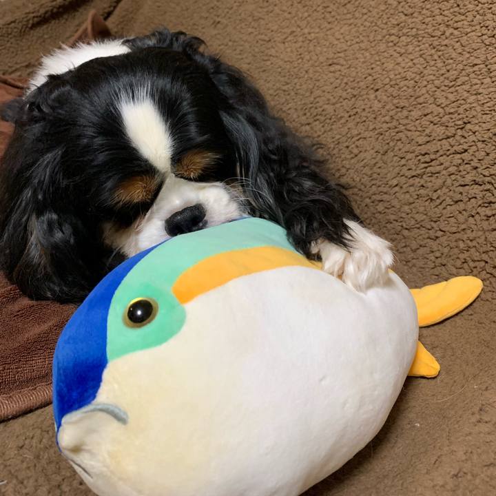 F9d17d61 f232 4893 9523 1e63b26f7e66 1555071237410